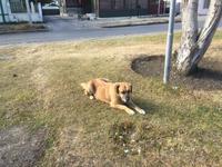 Punta Arenas - Unser treuer Begleiter und Beschützer