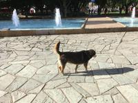 Puerto Chacabuco - Fahrt durch das Simpson Valley nach Coyhaique