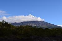 Petrohue-Wasserfälle, Puerto Varas und Frutillar - Blick zum Vulkan Osorno