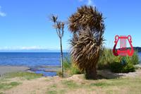 Petrohue-Wasserfälle, Puerto Varas und Frutillar - Spaziergang durch Frutillar
