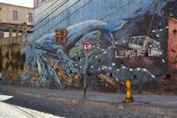 Stadtrundfahrt durch Valparaiso - Street Art in Valparaiso