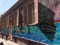 Stadtrundfahrt durch Valparaiso - Street Art in Valparaiso