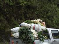 Transportmittel bei Banos