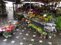 Cuenca: Blumenmarkt