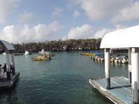 Taxiboote auf Santa Cruz