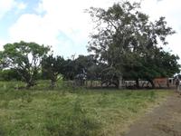 Insel Floreana: Farm
