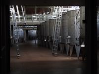 Weingut Matetic Chile