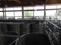 Weingut Matetic Chile