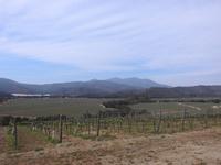 Weingut Matetic Chile