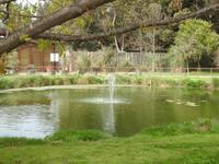 Weingut Matetic Chile