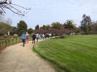 Weingut Matetic Chile