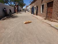 San Pedro de Atacama Chile