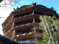 Panguipulli Baumhotel 