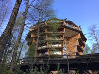 Panguipulli Baumhotel 