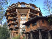 Panguipulli Baumhotel 