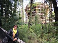 Panguipulli Baumhotel 