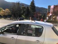 San Martin de Los Andes