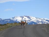 Nationalpark Torres del Paine Chile