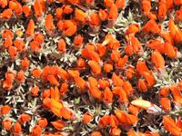 Nationalpark Torres del Paine Chile