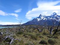 Nationalpark Torres del Paine Chile