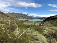 Nationalpark Torres del Paine Chile