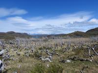 Nationalpark Torres del Paine Chile
