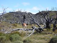 Nationalpark Torres del Paine Chile