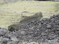 umgekippter Moai Osterinsel