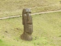 Moai Osterinsel