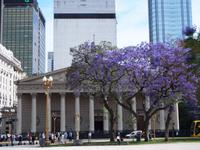 Kathedrale von Buenos Aires