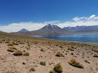 Atacama Wüste