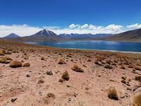 Atacama Wüste