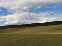 Nationalpark Torres del Paine