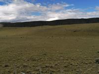 Nationalpark Torres del Paine