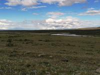 Nationalpark Torres del Paine
