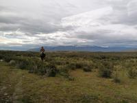 Nationalpark Torres del Paine