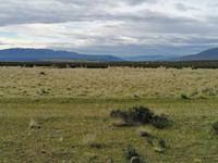 Nationalpark Torres del Paine