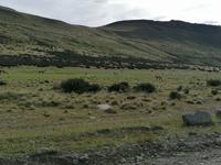 Nationalpark Torres del Paine