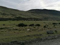 Nationalpark Torres del Paine