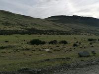 Nationalpark Torres del Paine