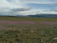 Nationalpark Torres del Paine