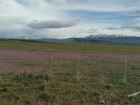Nationalpark Torres del Paine