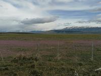 Nationalpark Torres del Paine