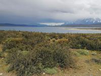 Nationalpark Torres del Paine