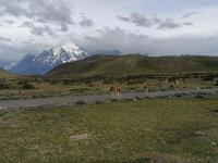 Nationalpark Torres del Paine
