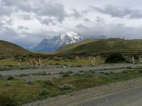 Nationalpark Torres del Paine