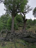 Nationalpark Torres del Paine