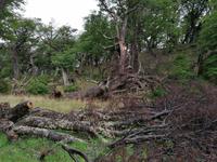 Nationalpark Torres del Paine