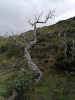 Nationalpark Torres del Paine