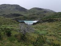 Nationalpark Torres del Paine